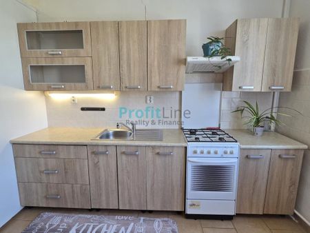 Pronájem bytu 1+1 40 m2 - Fotografie 3