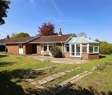 3 bedroom bungalow to rent - Photo 6