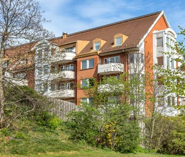 Högamöllegatan, Malmö - Photo 6