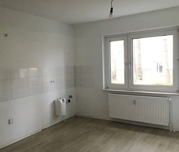 2 Zimmer-Wohnung im Erdgeschoss / Stadtteil Senne - Foto 1