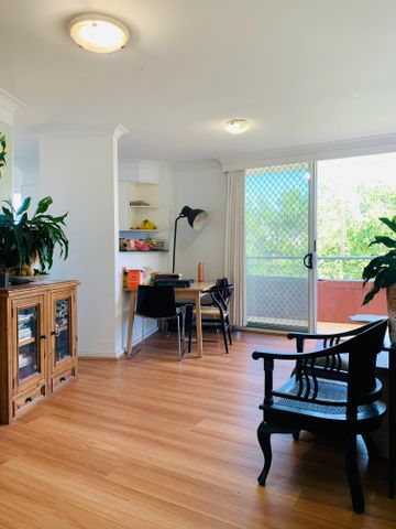 Pyrmont - Photo 4