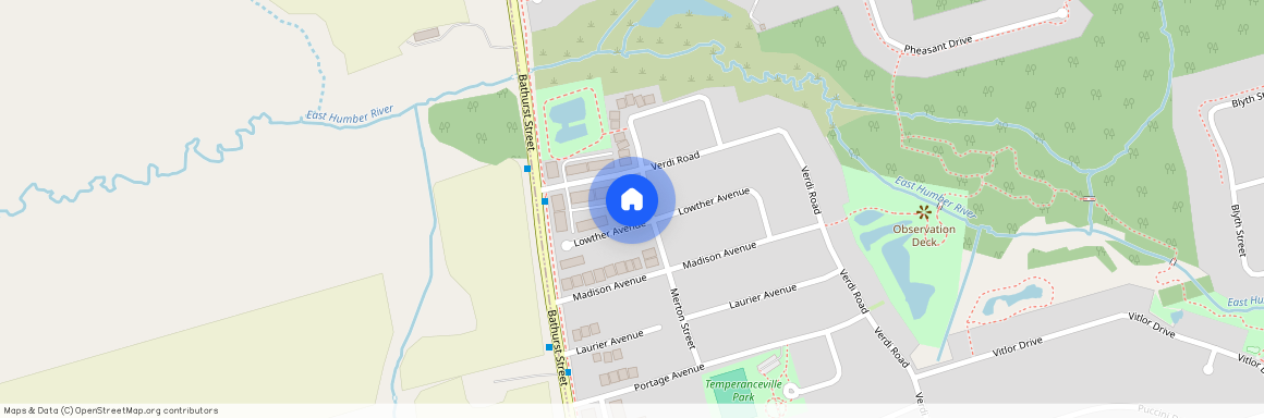 48 Lowther Avenue, Richmond Hill