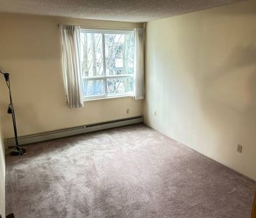 Furnished Large 1 bedroom Condo for rent! Utilities included! - Photo 1