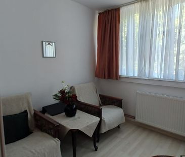 Apartament 2 camere de închiriat, Parcul Opera – Covrigi Gigi - Fotografie 5