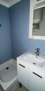 Location Appartement 1 pièce 16m² TOULOUSE 31300 - Photo 4