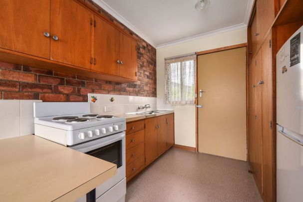 1/4 Albert St, Youngtown - Photo 1