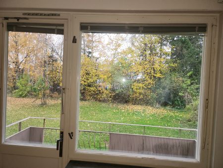 Vileborgsvägen, Fornåsa - Foto 4