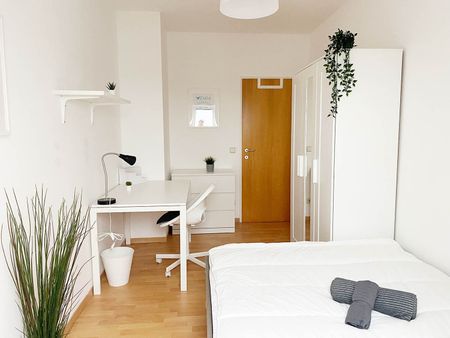 Sonnleithnergasse Top 303 Zimmer 2 - Photo 5