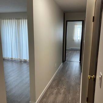 Central Mount Pleasant 1 Bdrm Apt with Storage - Photo 1