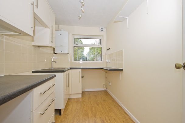 South Ash - Photo 1