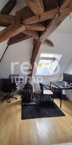 Location Appartement 2 pièces 38m² PELLOUAILLES LES VIGNES 49112 - Photo 4