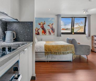 1 bedroom flat to rent - Photo 4