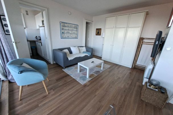 T2 MEUBLÉ AVEC VUE IMPRENABLE SUR LES MARAIS - Photo 1