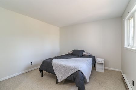 For Lease - 4 Trafalgar Road Unit# 4, Collingwood, Ontario - Photo 3
