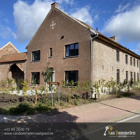 TE HUUR: Eerste bewoning, energiezuinige renovatiewoning met 3 slaapkamers in Gruitrode (Oudsbergen) - Photo 2