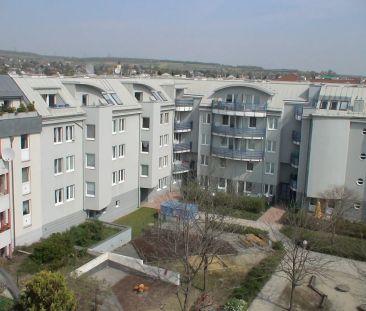 1-Zimmer-Wohnung, Top 6 - Photo 5