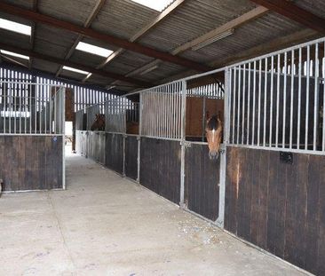 2 bedroom equestrian property to rent - Photo 3