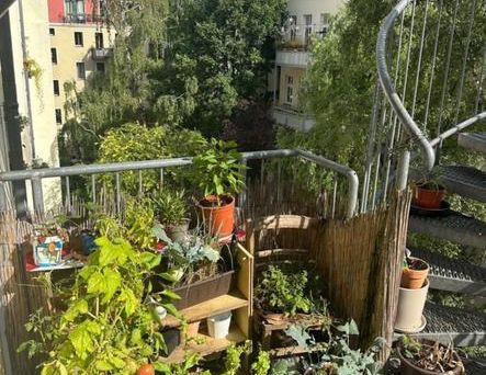 Zimmer in 2er WG, Berlin Lichtenberg/F-Hain 10317 - Foto 1