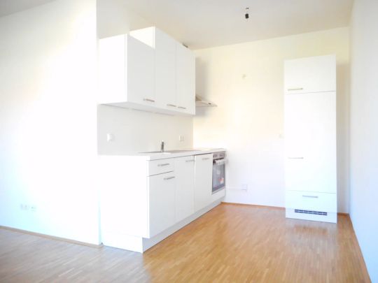 CITY PARK sonnige, sanierte 2ZI mit Allgemeingarten - Photo 1