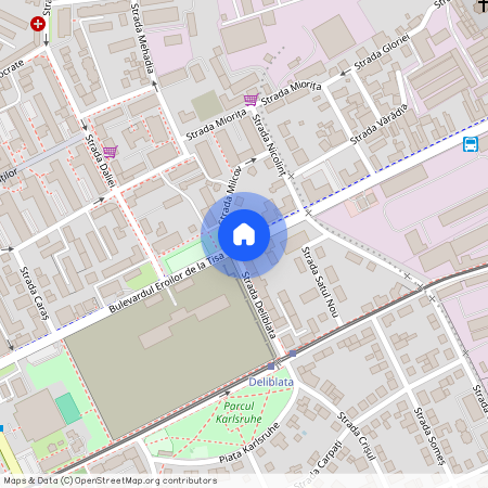 Timisoara, Complexul Studentesc