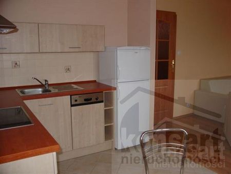 Staromłyńska, ZACHODNIOPOMORSKIE, STARE MIASTO, Szczecin - Photo 5