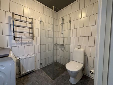 Storseglet, Vega - Foto 4