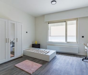 Gerenoveerde studentenkamers & studio’s - Photo 2