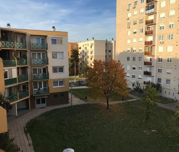 Kiadó jó állapotú panel lakás - Győr - Fotó 6