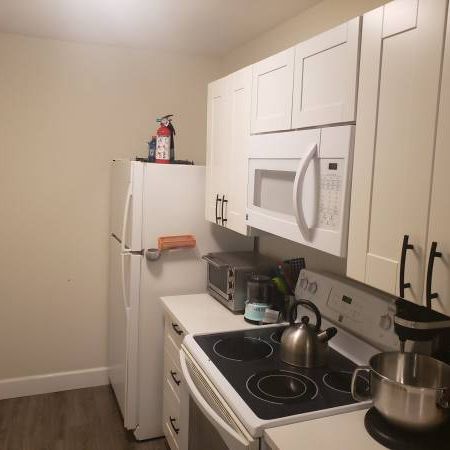 One bedroom suite near UVIC - Feb 15th or March 1st - Photo 1