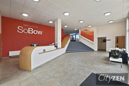 Windsor Court, Mostyn Grove, Bow - Photo 3