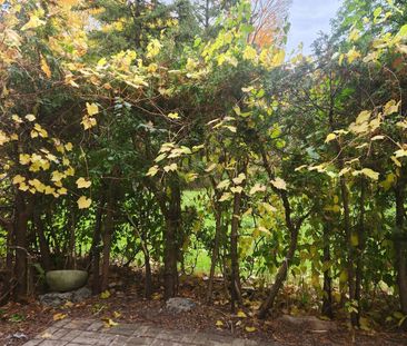 For Lease - 5 Shady Golfway Unit# 110, Toronto, Ontario - Photo 2