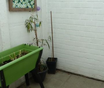 Gelijkvloers appartement te huur in Sint-Eloois-Vijve - Photo 3