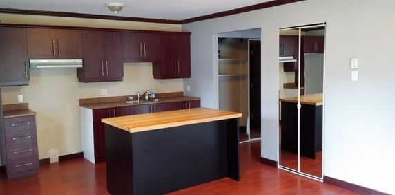 Beau grand 3 1/2 Récent STYLE CONDO Sur Boul. Thibeau Disponible 1 Janvier - Photo 2