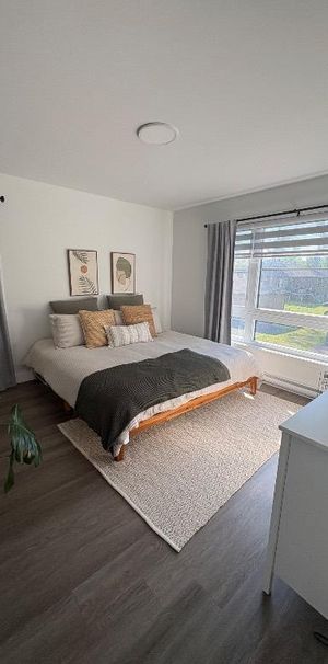 Appartement à louer Saint-Ambroise-de-Kildare - Photo 1