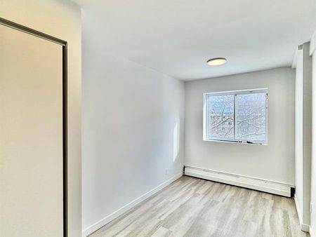 50 Rue Crépeau - Photo 4