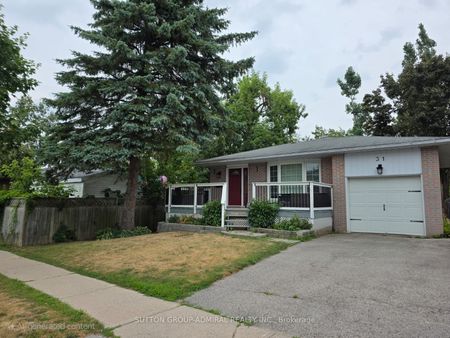 For Lease - 31 JEFFREY Street Unit# LOWER, Barrie, Ontario - Photo 3