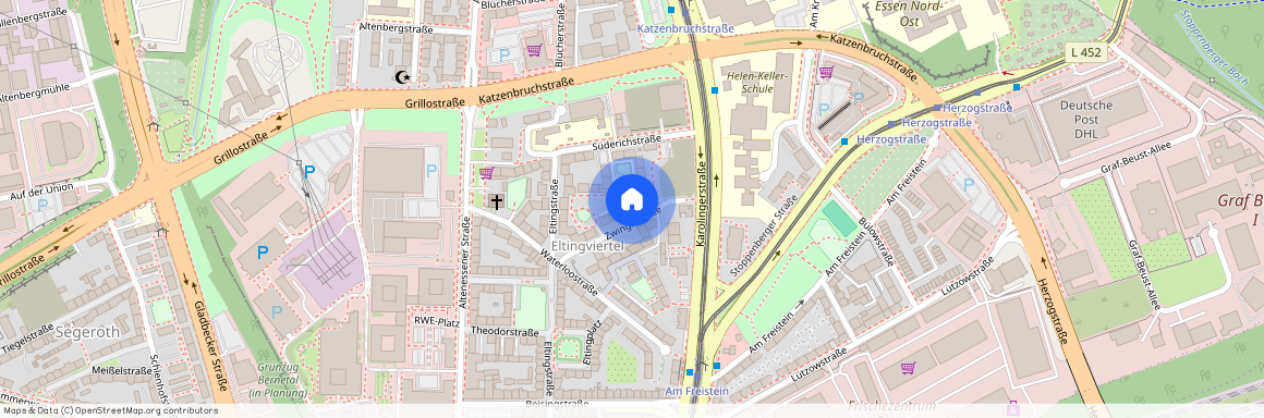 Zwinglistr. 9, 45141, Essen Ot Nordviertel