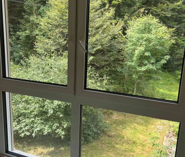 3.5 Zimmer, 80 m² - Photo 3