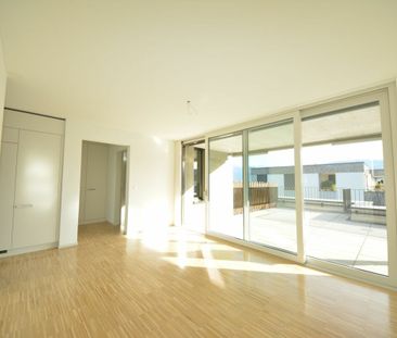 5.5 Zimmer Attikawohnung im Grünen - Foto 1