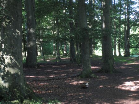 Höstgatan 41 - Photo 5