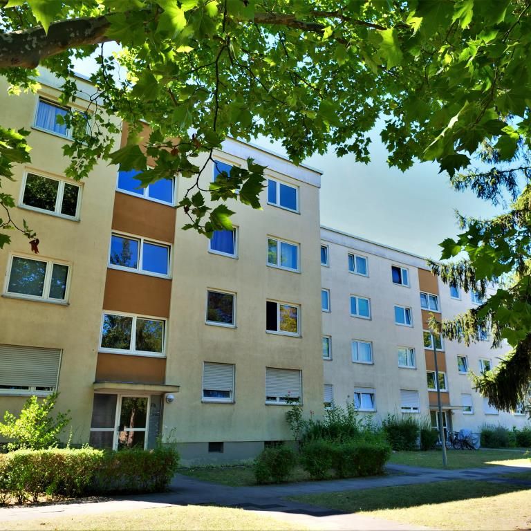 Demnächst frei! 3-Zimmer-Wohnung in Frankenthal (Pfalz) - Foto 2