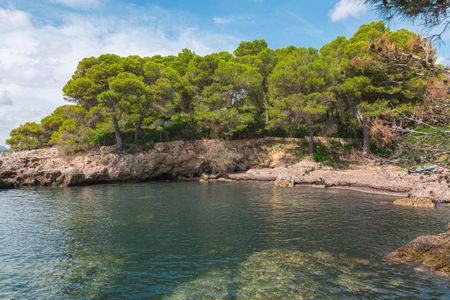 Luxury 5 room Detached House for rent in Costa de los Pinos, Balearic Islands - Photo 5