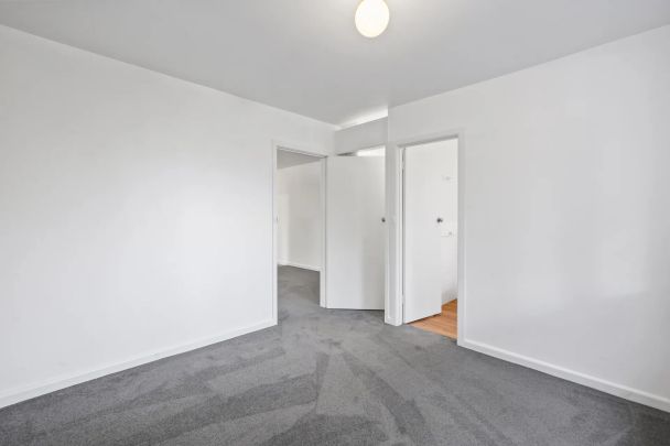 A Lifestyle Opportunity in the Heart of Chapel Street! - Photo 1