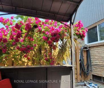 48 Lawndale Crescent #Lower - Photo 6