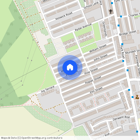 Mitchell Street, South Moor, Stanley