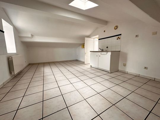 T2 SATHONAY CAMP - Sathonay Camp, 51 avenue Paul Delorme, ... - Photo 1