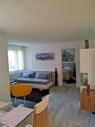 2-ROOM APARTMENT IN MERLISCHACHEN (SZ), FURNISHED, TEMPORARY - Photo 1