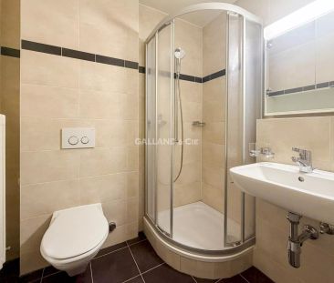 Magnifique loft au centre de Pully en attique - Photo 2