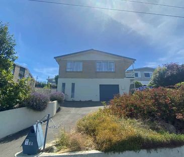 Sunny on Strode - Photo 2