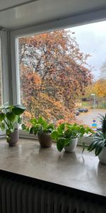 Svartbäcksgatan, Uppsala - Photo 4